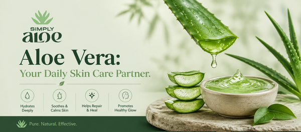 Aloe Vera: Your Daily Skin Care Partner