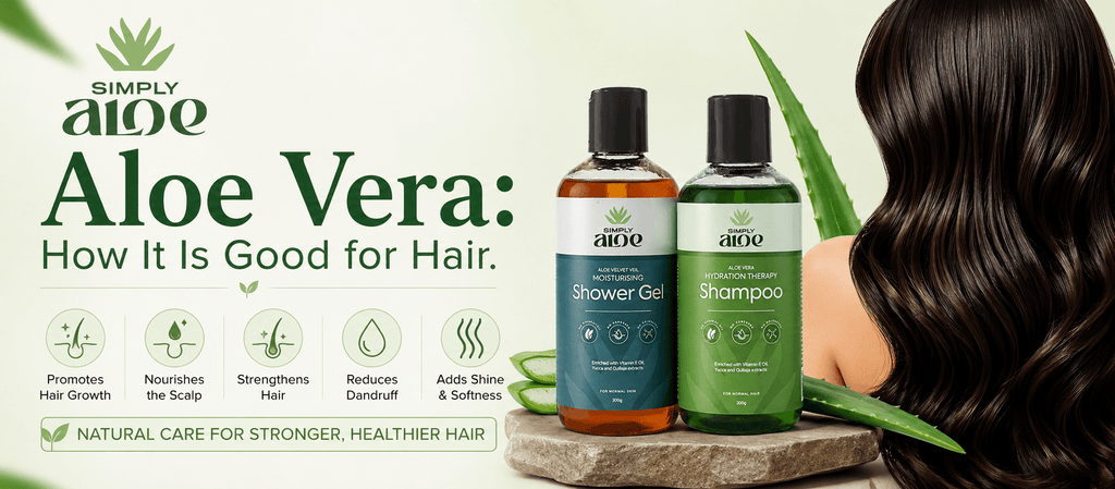 Aloe Vera: How It Is Good for Hair
